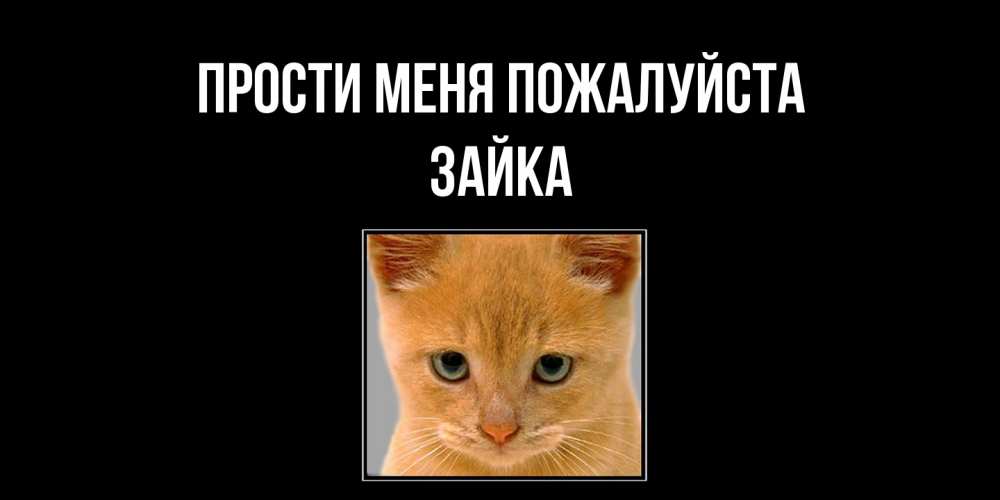 Открытка  с именем. Зайка, Прости меня пожалуйста  