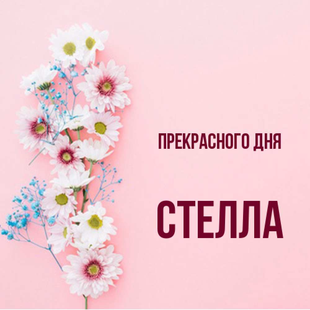 Открытка  с именем. стелла, Прекрасного дня  