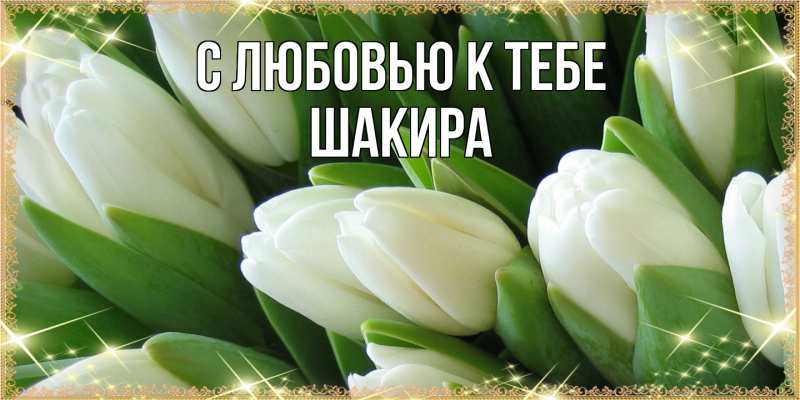 Картинка С любовью к тебе, Шакира