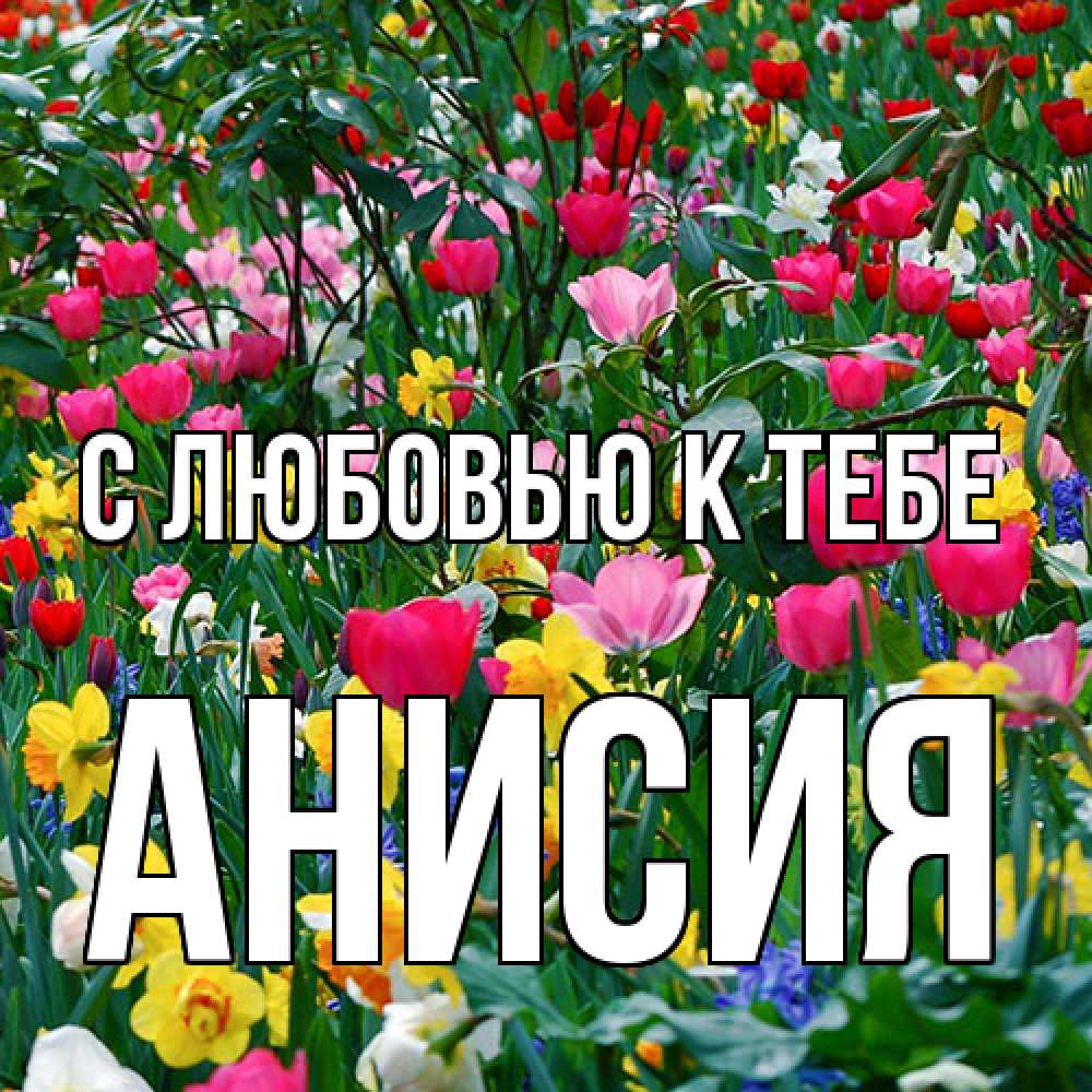 Открытка  с именем. Анисия, С любовью к тебе  