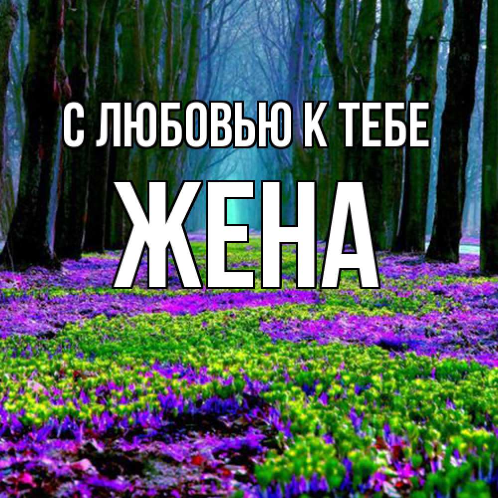 Открытка  с именем. Жена, С любовью к тебе  
