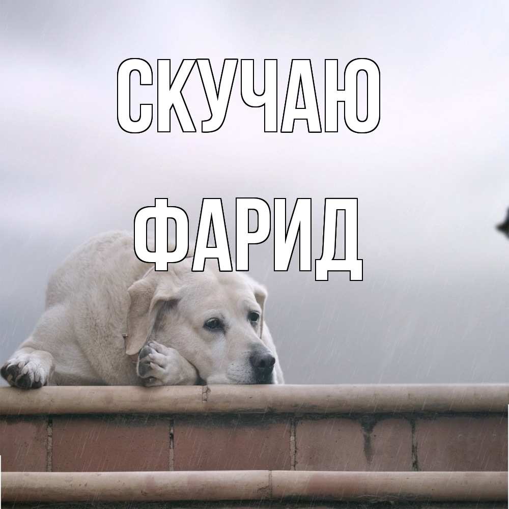 Открытка  с именем. Фарид, Скучаю  