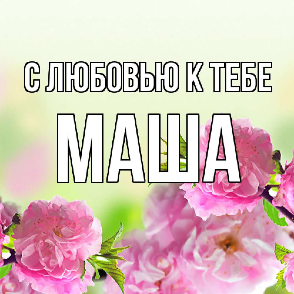 Открытка  с именем. маша, С любовью к тебе  