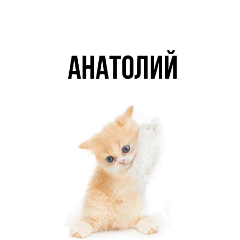Картинка  с именем , Анатолий