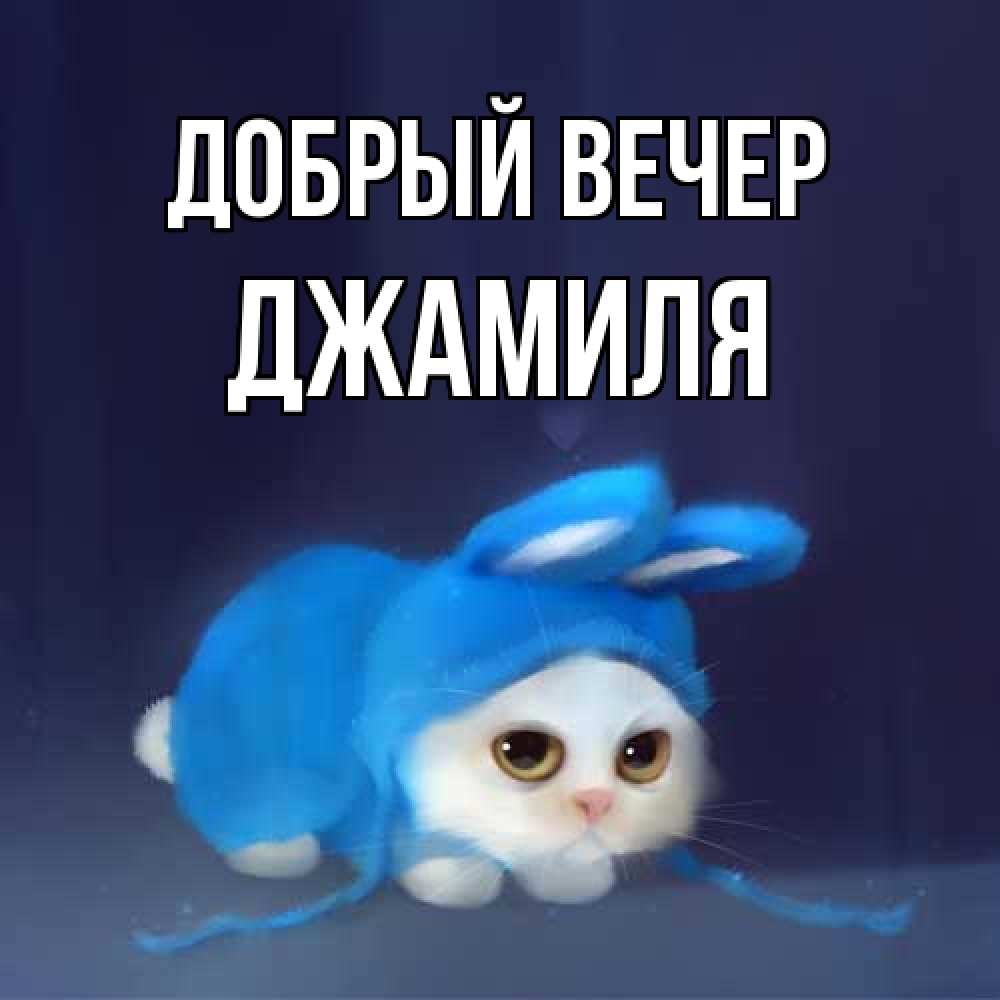 Открытка  с именем. Джамиля, Добрый вечер  