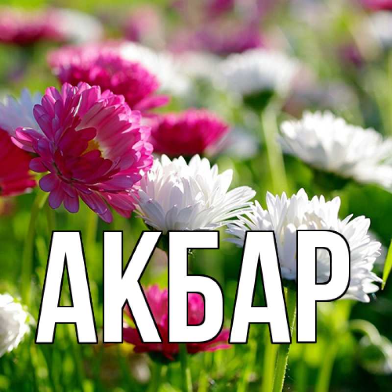 Картинка  с именем , Акбар