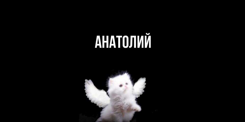 Открытка  с именем. Анатолий, Главная  