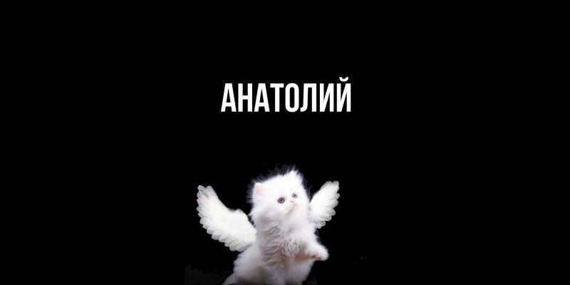 Картинка  с именем , Анатолий