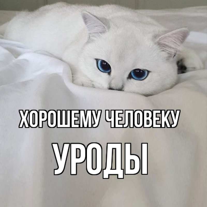Картинка Хорошему человеку, уроды
