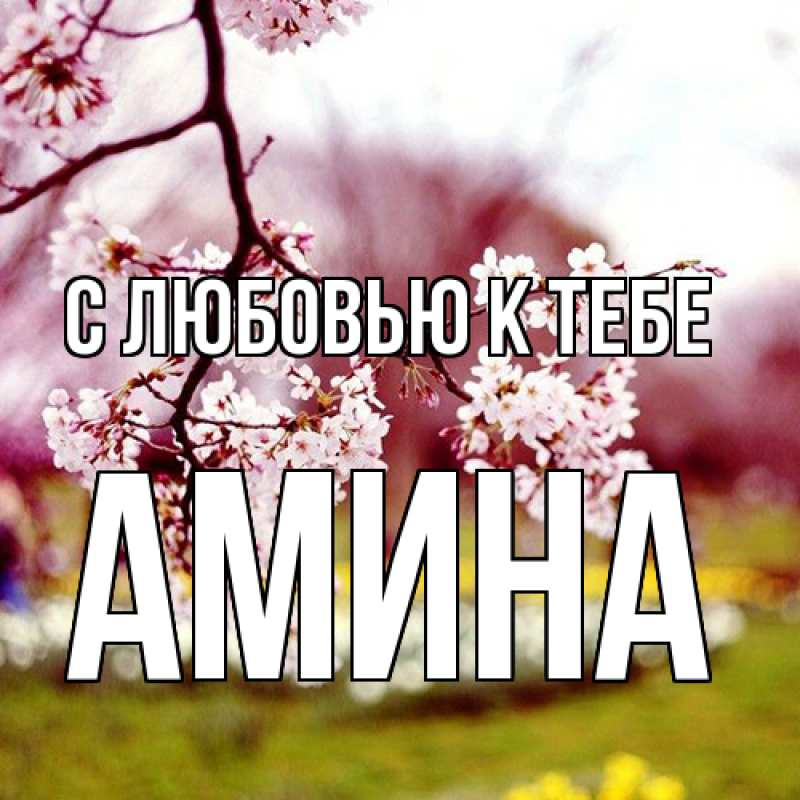 Картинка С любовью к тебе, Амина