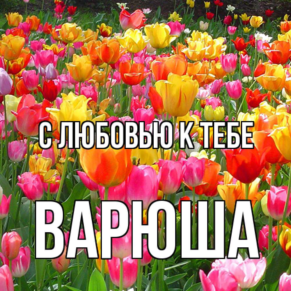Открытка  с именем. Варюша, С любовью к тебе  