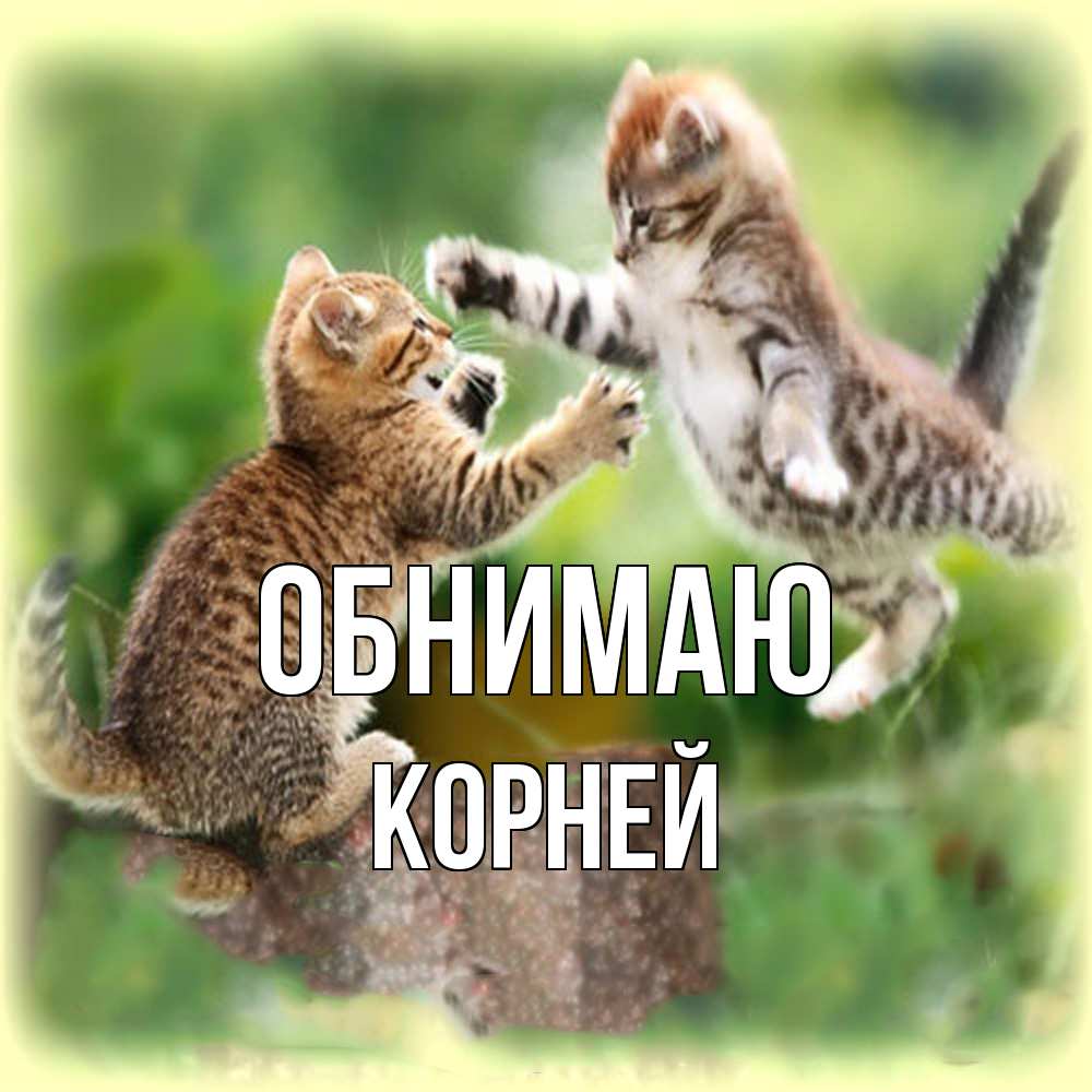 Открытка  с именем. Корней, Обнимаю  