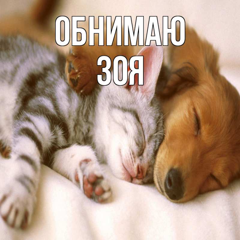 Картинка Обнимаю, Зоя