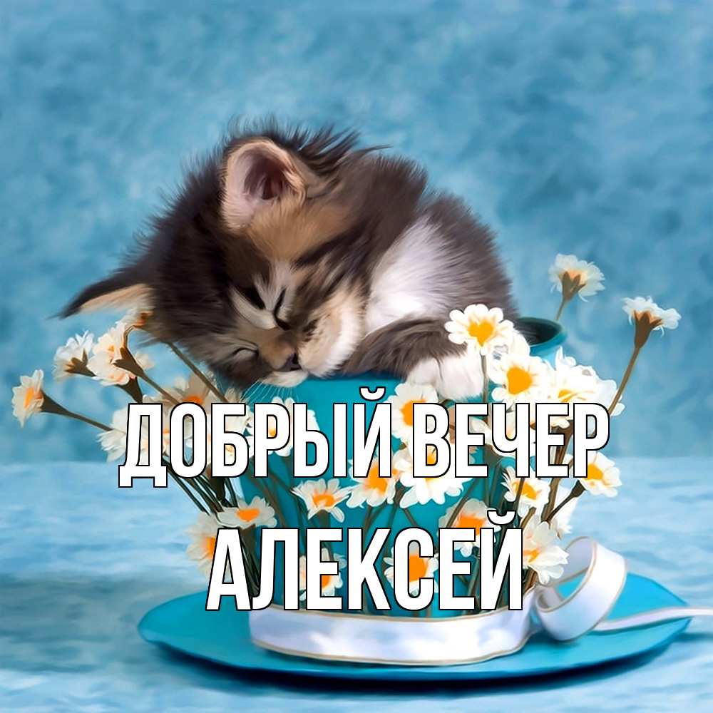 Открытка  с именем. Алексей, Добрый вечер  