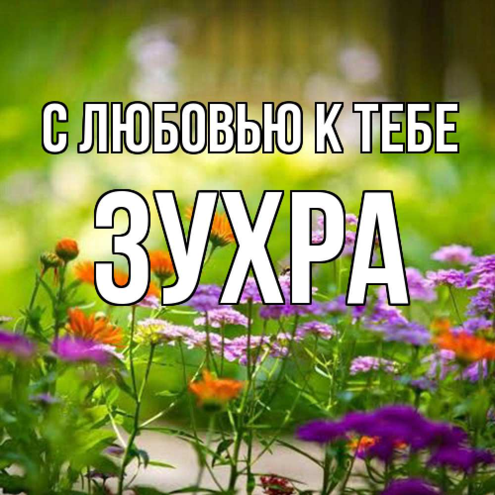 Открытка  с именем. Зухра, С любовью к тебе  