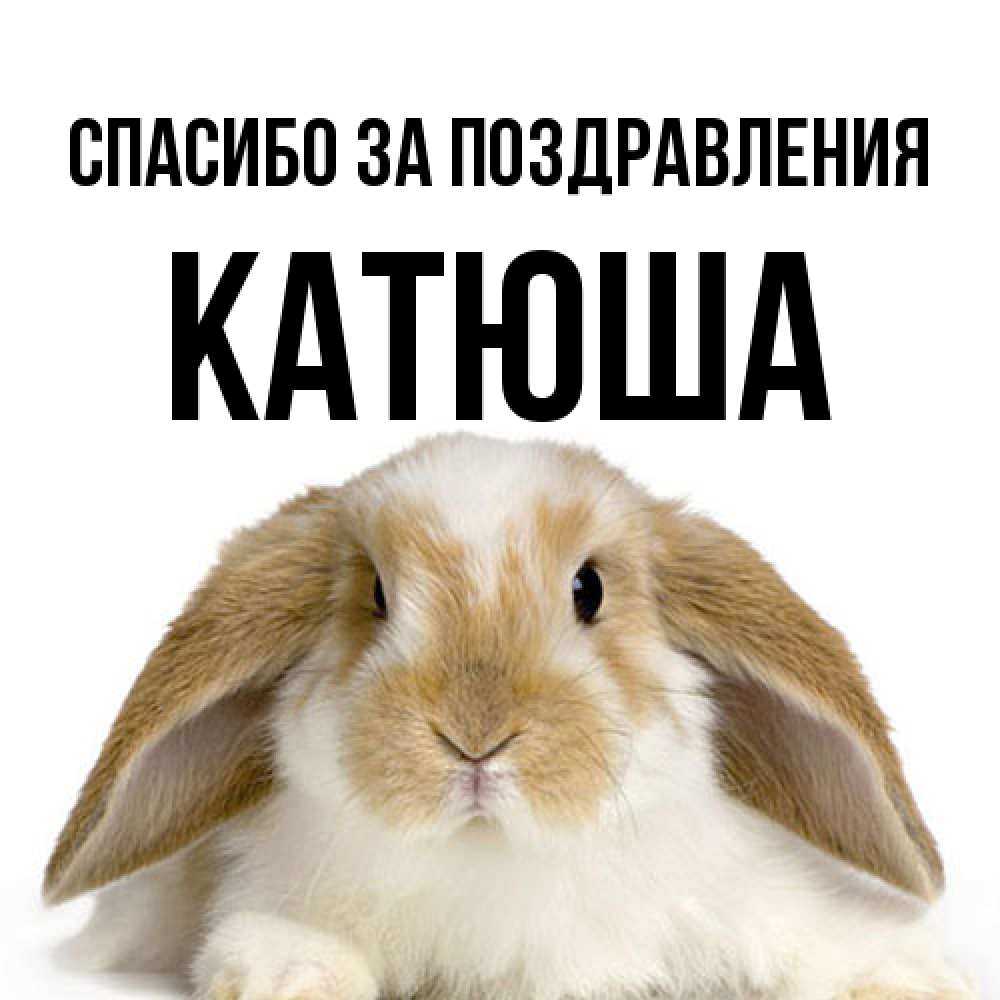 Открытка  с именем. Катюша, Спасибо за поздравления  