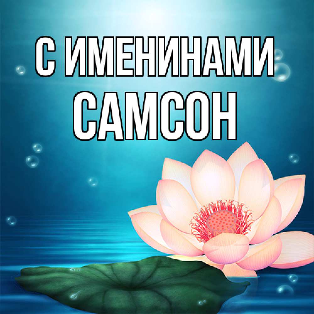 Открытка  с именем. Самсон, С именинами  