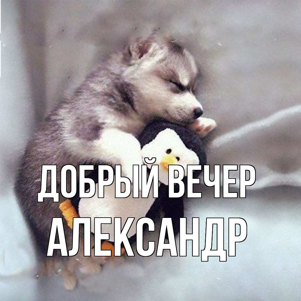 Открытка  с именем. александр, Добрый вечер  