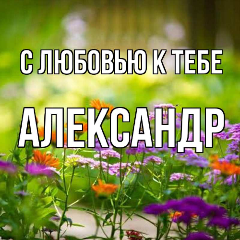 Картинка С любовью к тебе, Александр