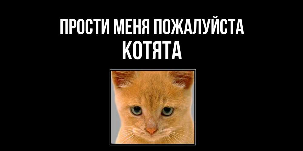 Открытка  с именем. Котята, Прости меня пожалуйста  