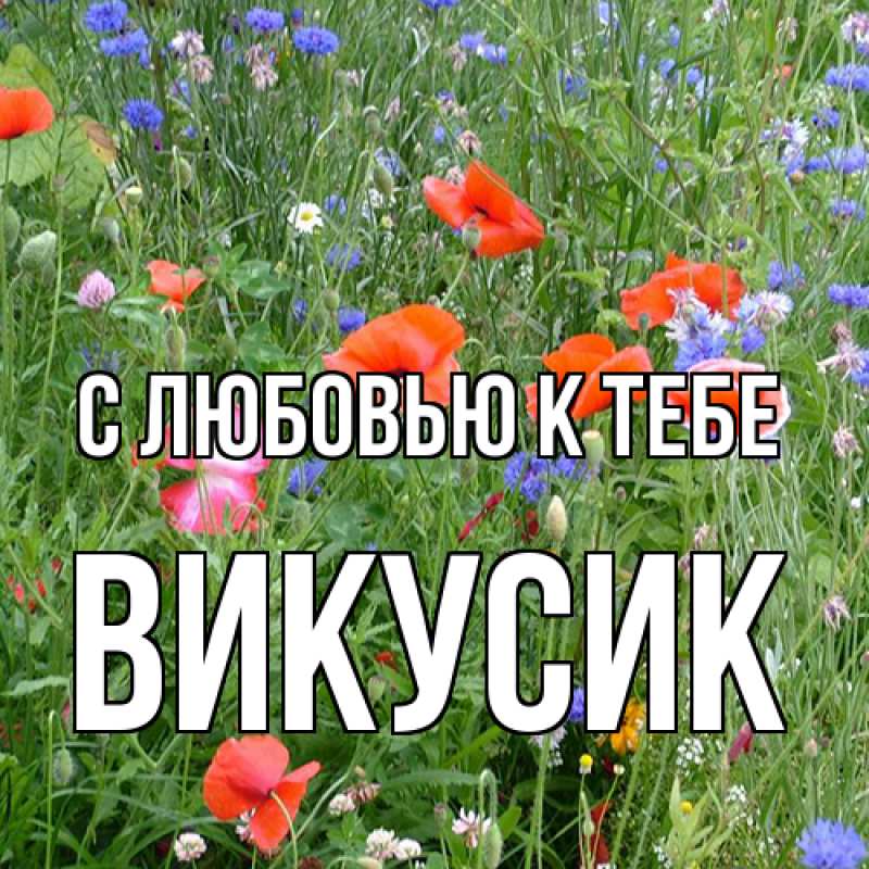 Открытка с именем, Викусик, С любовью к тебе
