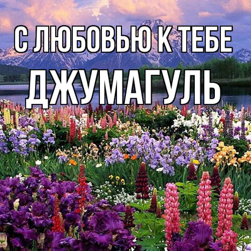 Открытка  с именем. Джумагуль, С любовью к тебе  