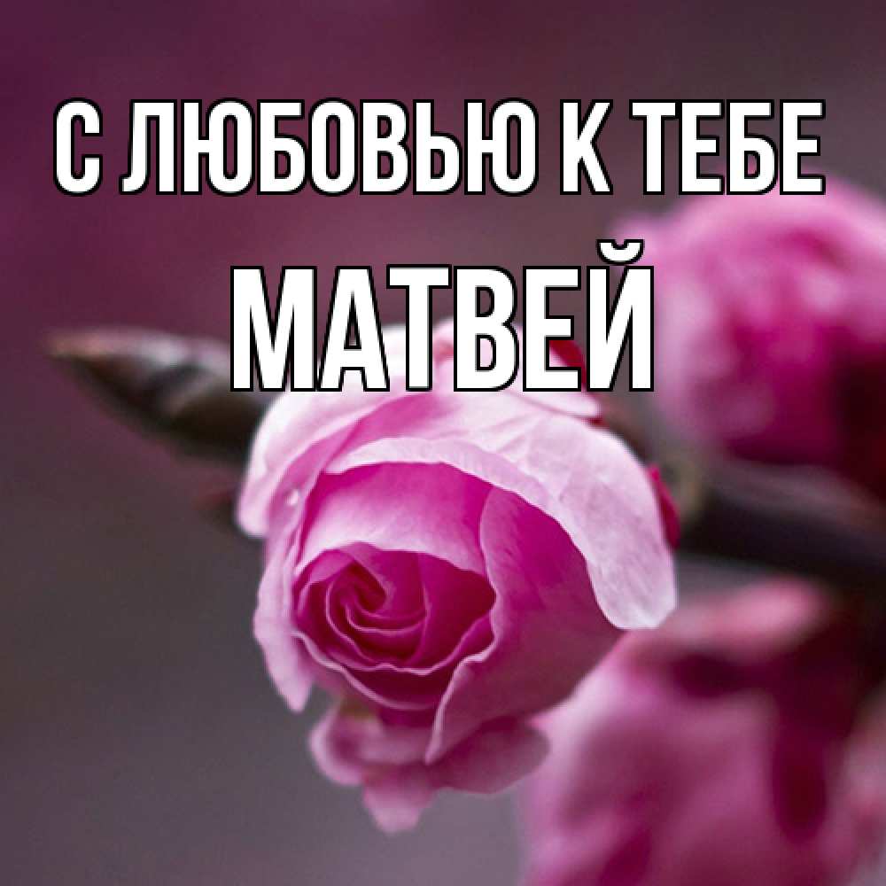 Открытка  с именем. Матвей, С любовью к тебе  