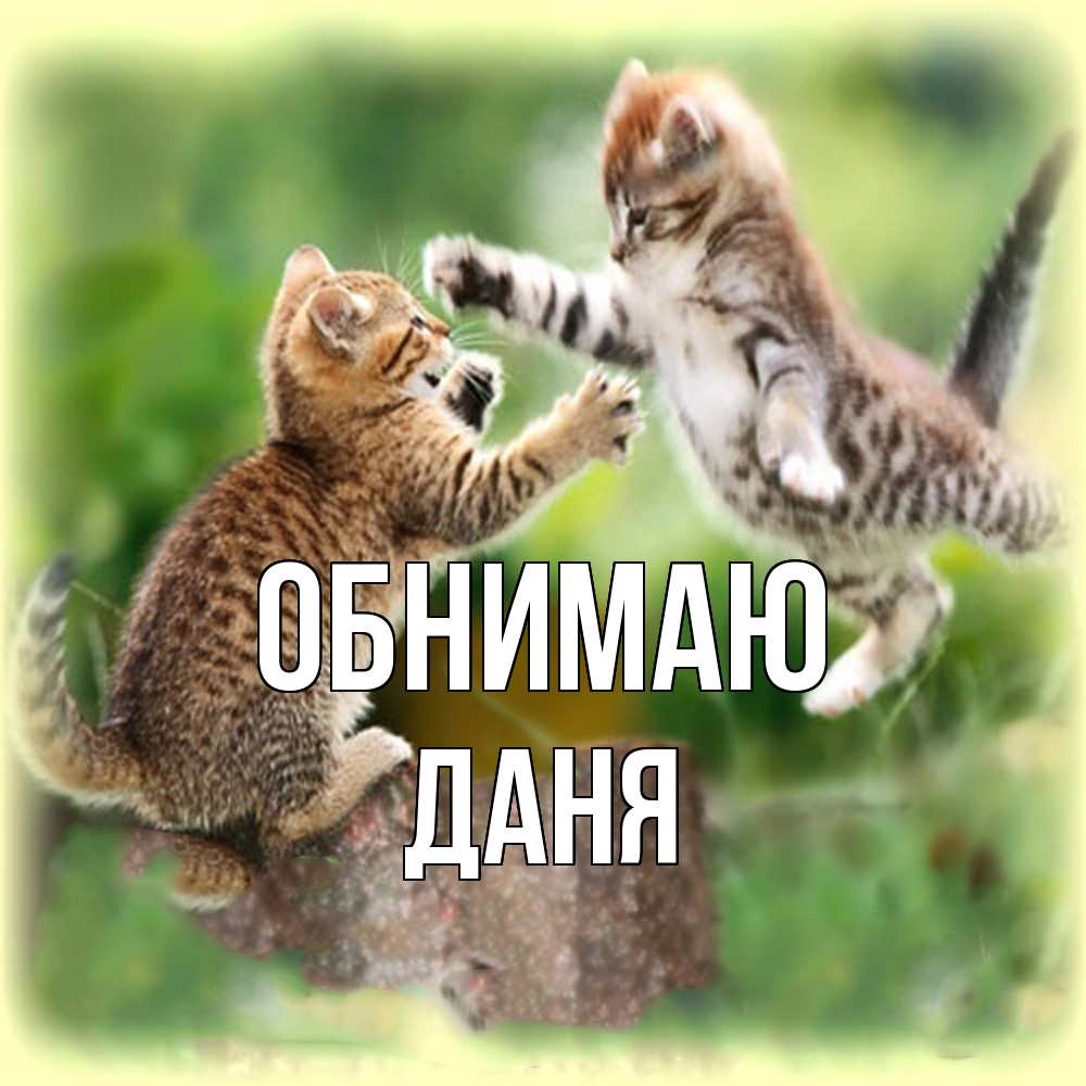 Открытка  с именем. Даня, Обнимаю  