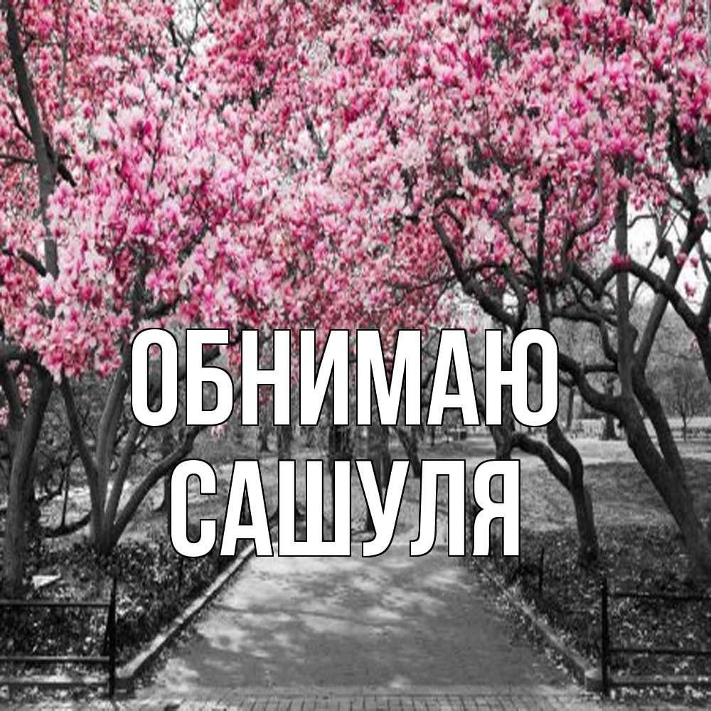 Открытка  с именем. Сашуля, Обнимаю  