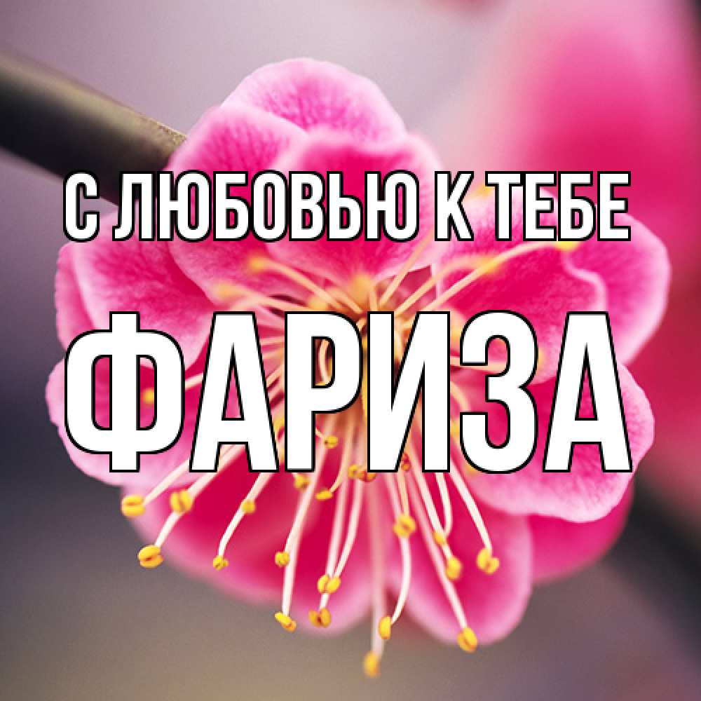 Открытка  с именем. Фариза, С любовью к тебе  