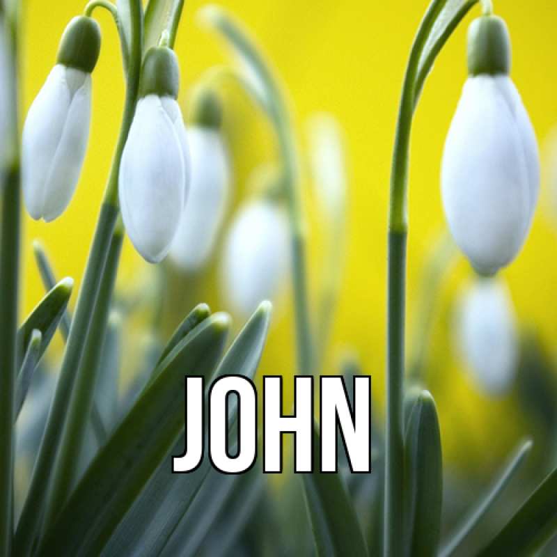 Картинка  с именем , John