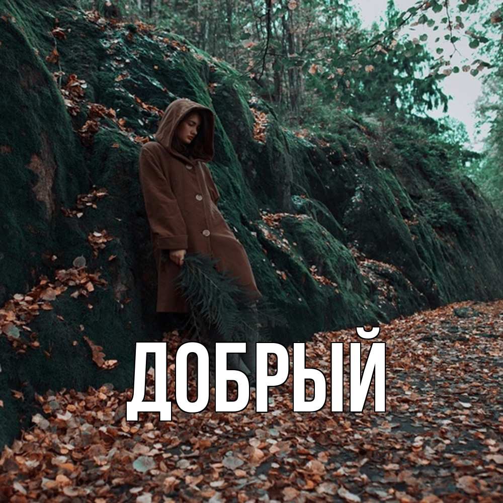 Открытка  с именем. Добрый, Главная  