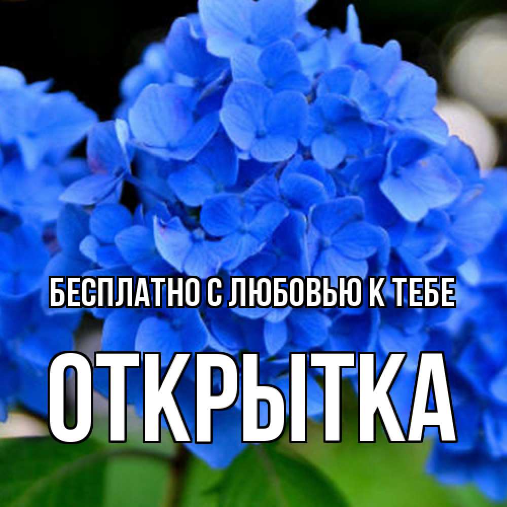 Открытка  с именем. открытка, С любовью к тебе  