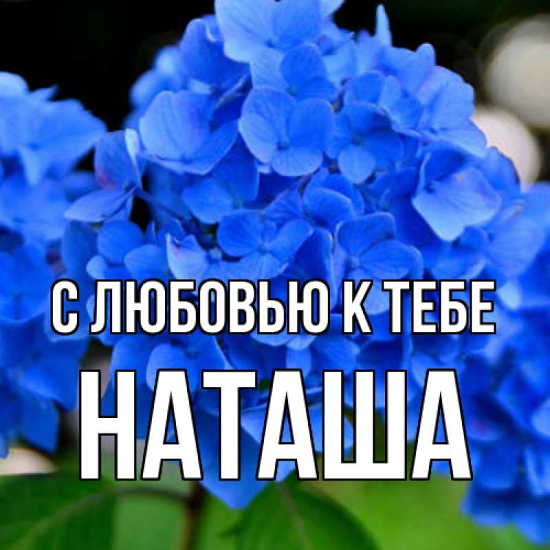 Картинка С любовью к тебе, Наташа