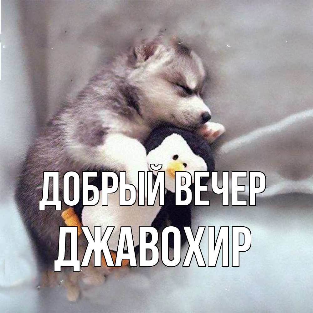 Открытка  с именем. Джавохир, Добрый вечер  