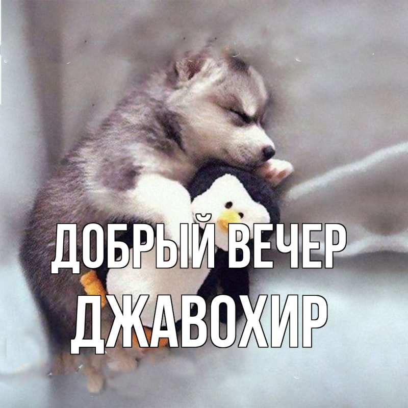 Картинка Добрый вечер, Джавохир