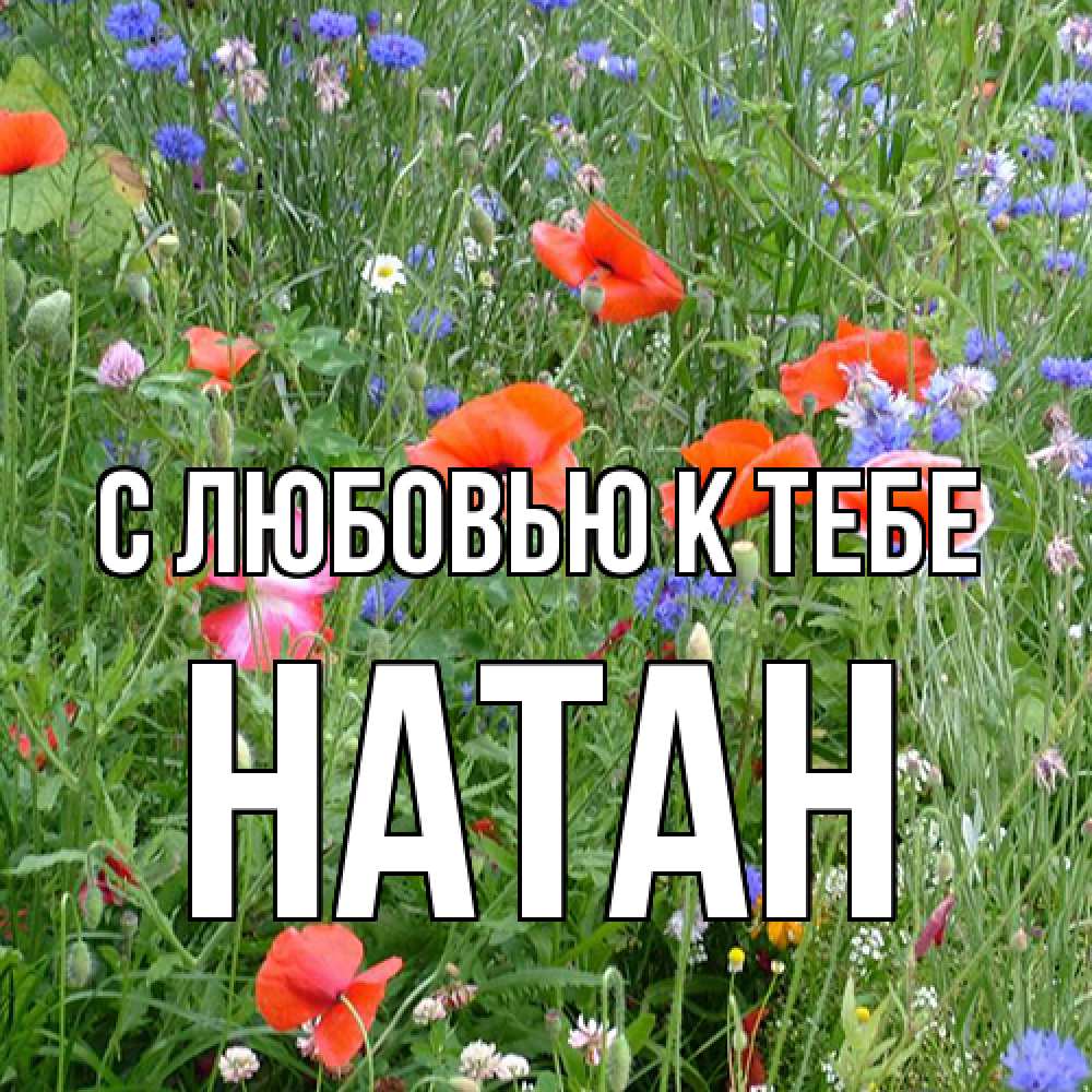 Открытка  с именем. Натан, С любовью к тебе  
