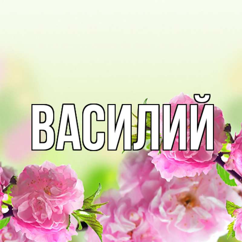Картинка  с именем , Василий