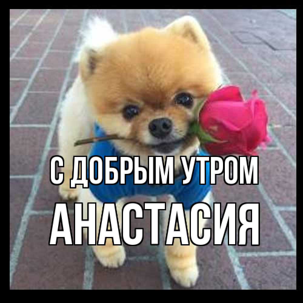 Открытка  с именем. Анастасия, С добрым утром  