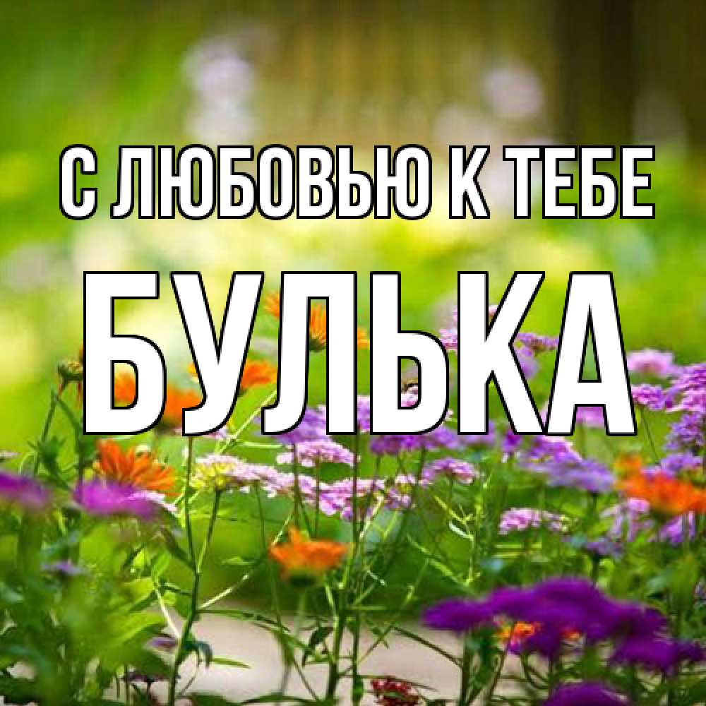 Открытка  с именем. Булька, С любовью к тебе  