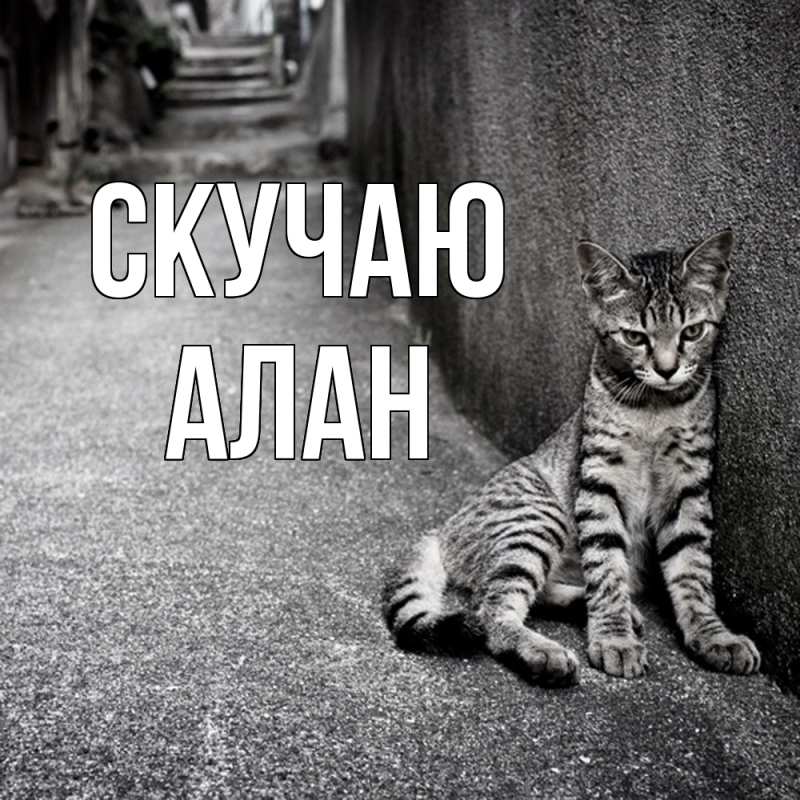 Картинка Скучаю, Алан