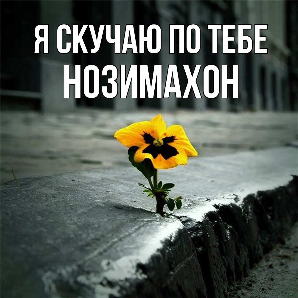 Открытка  с именем. Нозимахон, Я скучаю по тебе  