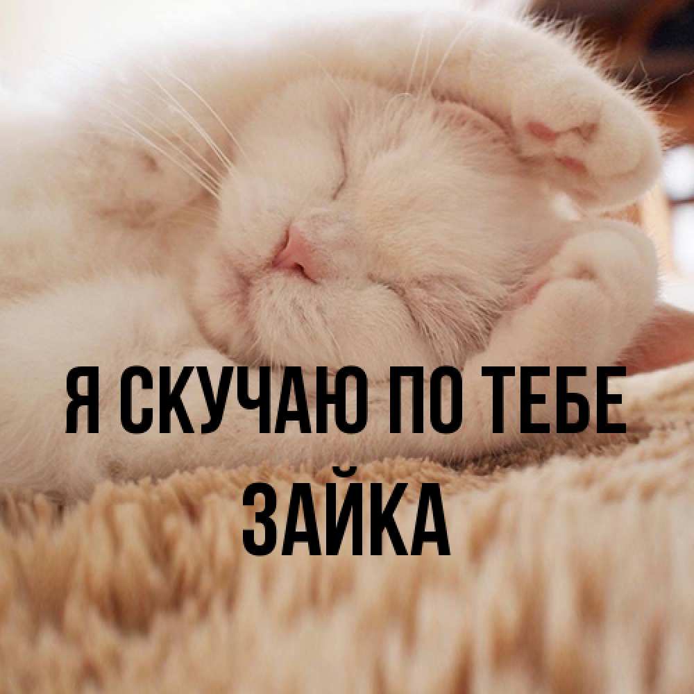 Открытка  с именем. Зайка, Я скучаю по тебе  
