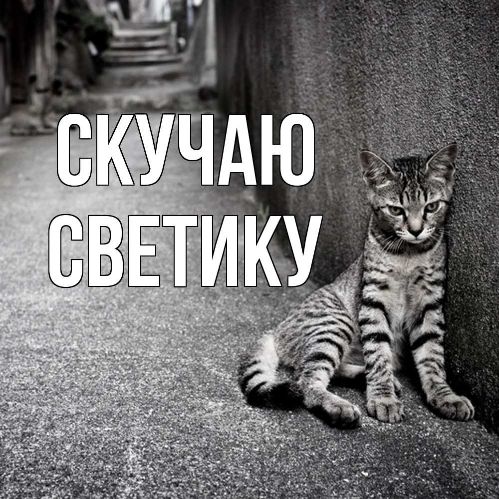 Открытка  с именем. Светику, Скучаю  
