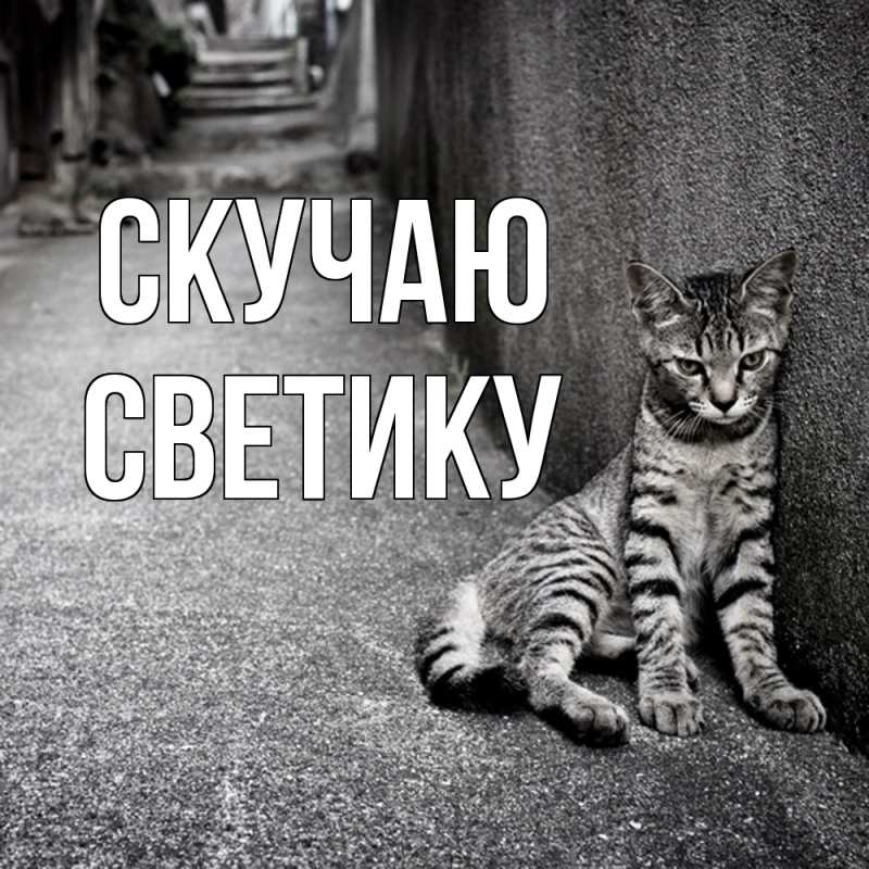 Картинка Скучаю, Светику