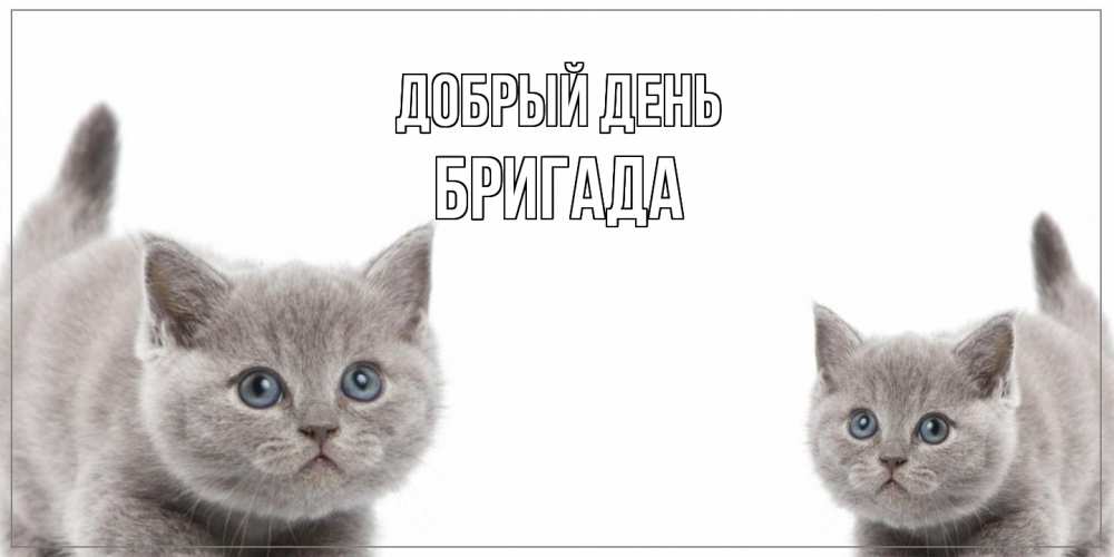Открытка  с именем. Бригада, Добрый день  
