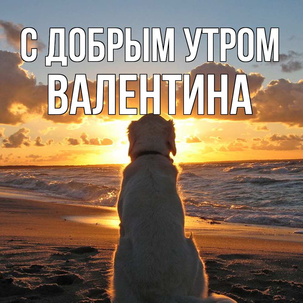 Открытка  с именем. Валентина, С добрым утром  