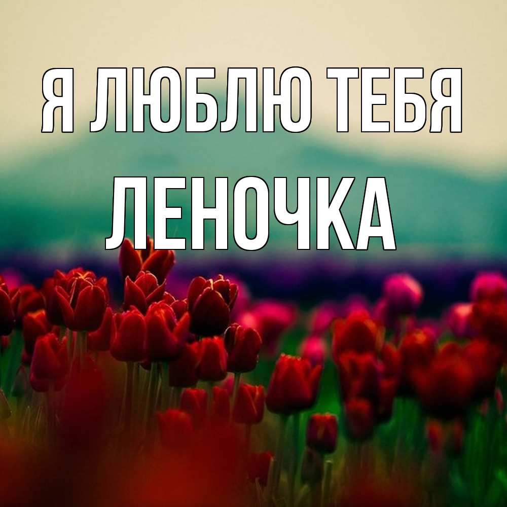 Открытка  с именем. Леночка, Я люблю тебя  