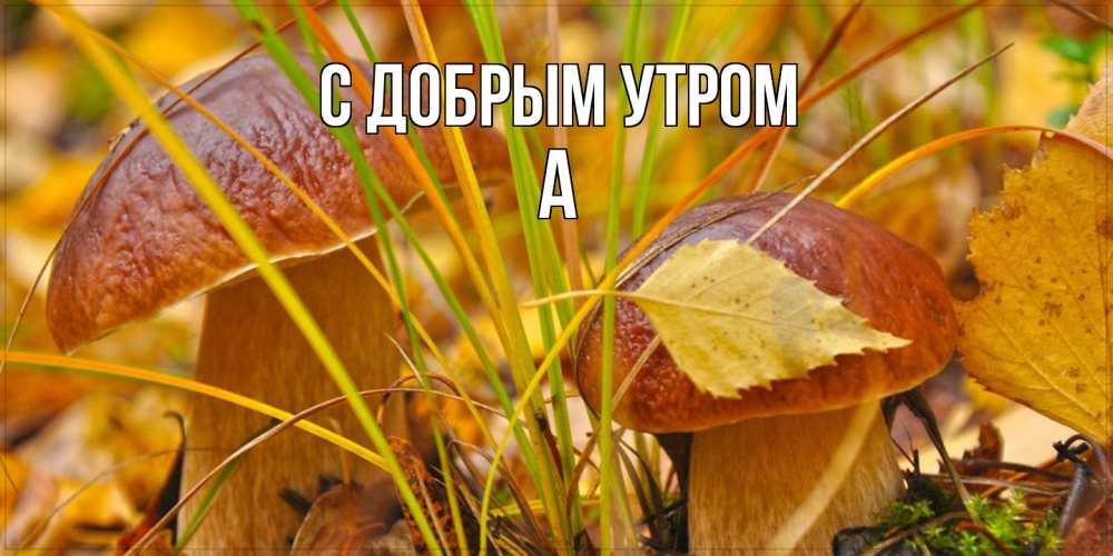 Открытка  с именем. а, С добрым утром  