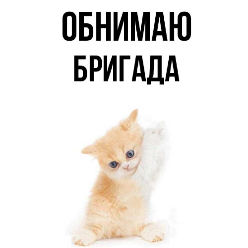 Картинка Обнимаю, Бригада